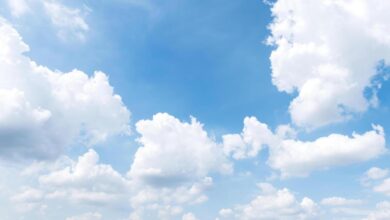 cloud hosting services